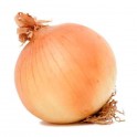 Cebolla Nueva