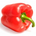 Pimiento Rojo