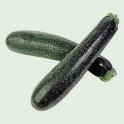 Calabacin negro