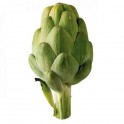 Alcachofa