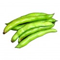 Habas tiernas