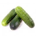 Pepino corto o espa&ntilde;ol