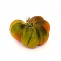 Tomate Raf