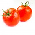 Tomate Daniela