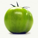 Tomate verde