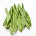 Judia Perona